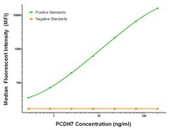 PCDH7 Mouse anti-Human, Biotin, Clone: OTI3C8, liquid, TrueMAB 50 &mu;g;