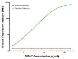 PCDH7 Mouse anti-Human, Biotin, Clone: OTI1F7, liquid, TrueMAB 50 &mu;g;
