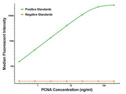PCNA Mouse anti-Human, Clone: OTI2G7, liquid, TrueMAB 100 &mu;g; Unconjugated:Antibodies,
