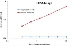 PD-L1 Mouse anti-Human, Clone: OTI9E12, liquid, TrueMAB 100 &mu;L; Unconjugated:Antibodies,