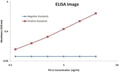 PD-L1 Mouse anti-Human, Clone: OTI9E12, liquid, TrueMAB 100 &mu;L; Unconjugated:Antibodies,