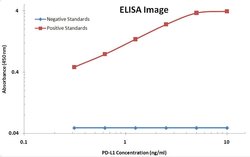 PD-L1 Monoclonal Antibody (OTI13G7), TrueMAB , OriGene 100 &mu;L; Unconjugated:Antibodies,