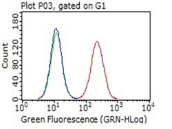 PD-L1 Monoclonal Antibody (OTI13G7), TrueMAB , OriGene:Antibodies:Primary