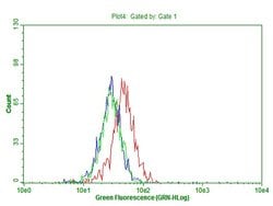 PD-L1 Monoclonal Antibody (OTI20G10), TrueMAB , OriGene:Antibodies:Primary