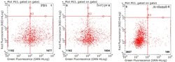 PD-L1 Hamster anti-Human, Clone: OTI8C8, lyophilized, TrueMAB 100 &mu;g;
