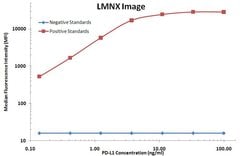 PD-L1 Mouse anti-Human, Clone: OTI9E12, liquid, TrueMAB 100 &mu;L; Unconjugated:Antibodies,