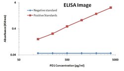 PDCD1 Monoclonal Antibody (OTI21F5), TrueMAB , OriGene 100 &mu;L; Unconjugated:Antibodies,