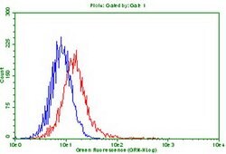 PDCD1 Monoclonal Antibody (OTI8H7), TrueMAB , OriGene 100 &mu;L; Unconjugated:Antibodies,