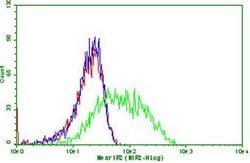 PDCD1 Monoclonal Antibody (OTI16D4), TrueMAB , OriGene 100 &mu;L; Unconjugated:Antibodies,