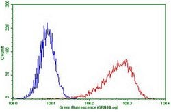 PDCD1 Monoclonal Antibody (OTI15B5), TrueMAB , OriGene 30 &mu;L; Unconjugated:Antibodies,