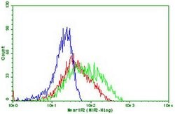PDCD1 Monoclonal Antibody (OTI15B5), TrueMAB , OriGene:Antibodies:Primary