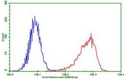 PDCD1 Monoclonal Antibody (OTI17B10), TrueMAB , OriGene 100 &mu;L; Unconjugated:Antibodies,