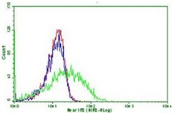 PDCD1 Monoclonal Antibody (OTI13A3), TrueMAB , OriGene 100 &mu;L; Unconjugated:Antibodies,