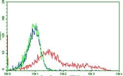 PDCD1 Monoclonal Antibody (OTI9G6), TrueMAB , OriGene 30 &mu;L; Unconjugated:Antibodies,