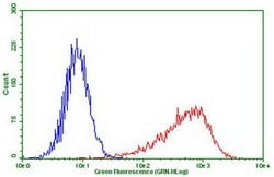 PDCD1 Monoclonal Antibody (OTI1D1), TrueMAB , OriGene:Antibodies:Primary