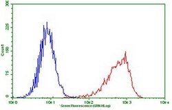PDCD1 Mouse anti-Human, Mouse, Clone: OTI24D2, lyophilized, TrueMAB 100