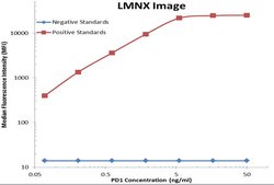 PDCD1 Monoclonal Antibody (OTI17G9), TrueMAB , OriGene 30 &mu;L; Unconjugated:Antibodies,