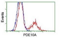 PDE10A Mouse anti-Human, Clone: OTI3G9, liquid, TrueMAB 100 &mu;L; Unconjugated:Antibodies,