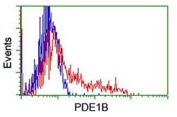 PDE1B Monoclonal Antibody (OTI6E4), TrueMAB , OriGene 100 &mu;L; Unconjugated:Antibodies,