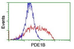 PDE1B Monoclonal Antibody (OTI6B9), TrueMAB , OriGene:Antibodies:Primary