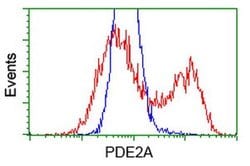 PDE2A Monoclonal Antibody (OTI5B10), TrueMAB , OriGene 100 &mu;L; Unconjugated:Antibodies,