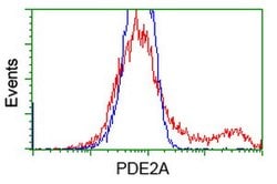 PDE2A Mouse anti-Human, Clone: OTI1G9, lyophilized, TrueMAB 100 &mu;g;