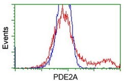 PDE2A Mouse anti-Human, Clone: OTI1G9, liquid, TrueMAB 100 &mu;L | Buy Online | Origene Technologies | Fisher Scientific