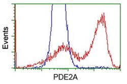 PDE2A Monoclonal Antibody (OTI4H8), TrueMAB , OriGene 100 &mu;L; Unconjugated:Antibodies,