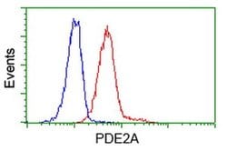 PDE2A Monoclonal Antibody (OTI4H8), TrueMAB , OriGene 100 &mu;L; Unconjugated:Antibodies,