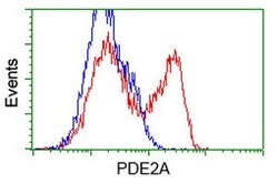 PDE2A Mouse anti-Human, Clone: OTI4D2, lyophilized, TrueMAB 100 &mu;g;