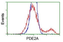 PDE2A Mouse anti-Human, Clone: OTI2F1, lyophilized, TrueMAB 100 &mu;g;