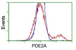PDE2A Mouse anti-Human, Clone: OTI3A4, lyophilized, TrueMAB 100 &mu;g;