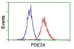 PDE2A Mouse anti-Human, Clone: OTI3A4, lyophilized, TrueMAB 100 &mu;g;
