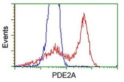 PDE2A Monoclonal Antibody (OTI4D10), TrueMAB , OriGene 100 &mu;L; Unconjugated:Antibodies,