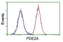 PDE2A Monoclonal Antibody (OTI4D10), TrueMAB , OriGene 100 &mu;L; Unconjugated:Antibodies,