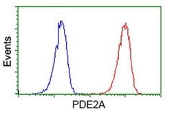 PDE2A Monoclonal Antibody (OTI4D10), TrueMAB , OriGene 100 &mu;L; Unconjugated:Antibodies,