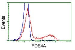 PDE4A Monoclonal Antibody (OTI1F5), TrueMAB , OriGene 30 &mu;L; Unconjugated:Antibodies,