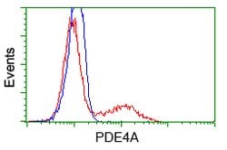 PDE4A Mouse anti-Human, Clone: OTI3D4, lyophilized, TrueMAB 100 &mu;g;