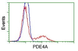 PDE4A Monoclonal Antibody (OTI3D4), TrueMAB , OriGene 30 &mu;L; Unconjugated:Antibodies,