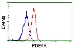 PDE4A Mouse anti-Human, Clone: OTI3D4, lyophilized, TrueMAB 100 &mu;g;