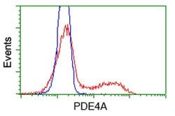 PDE4A Mouse anti-Human, Clone: OTI7B11, liquid, TrueMAB 100 &mu;L; Unconjugated:Antibodies,