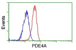 PDE4A Mouse anti-Human, Clone: OTI7B11, liquid, TrueMAB 100 &mu;L; Unconjugated:Antibodies,