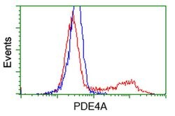PDE4A Monoclonal Antibody (OTI6D6), TrueMAB , OriGene 100 &mu;L; Unconjugated:Antibodies,