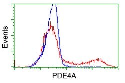 PDE4A Mouse anti-Human, Clone: OTI5C6, lyophilized, TrueMAB 100 &mu;g;