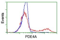 PDE4A Monoclonal Antibody (OTI5C6), TrueMAB , OriGene 100 &mu;L; Unconjugated:Antibodies,