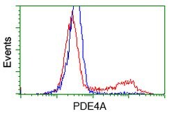 PDE4A Mouse anti-Human, Clone: OTI8B7, lyophilized, TrueMAB 100 &mu;g;