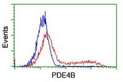 PDE4B Monoclonal Antibody (OTI2B6), TrueMAB , OriGene 100 &mu;L; Unconjugated:Antibodies,