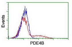 PDE4B Monoclonal Antibody (OTI2B10), TrueMAB , OriGene 100 &mu;L; Unconjugated:Antibodies,