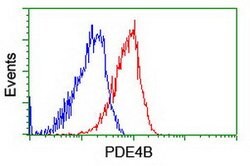 PDE4B Mouse anti-Human, Mouse, Clone: OTI1D12, lyophilized, TrueMAB 100