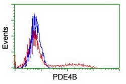 PDE4B Mouse anti-Human, Clone: OTI3B12, lyophilized, TrueMAB 100 &mu;g | Buy Online | Origene Technologies | Fisher Scientific